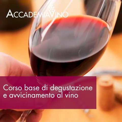 Corso base di degustazione e avvicinamento al vino