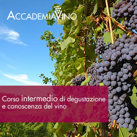 Corso intermedio di degustazione e conoscenza del vino