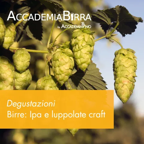 Degustazioni – Birre: Ipa e luppolate contemporanee
