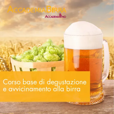 Corso base di degustazione e avvicinamento alla birra
