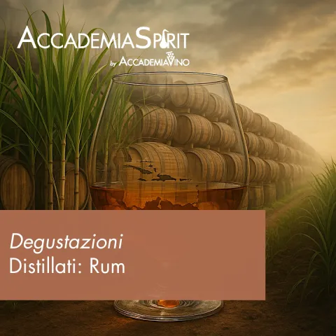Degustazioni – Distillati: rum